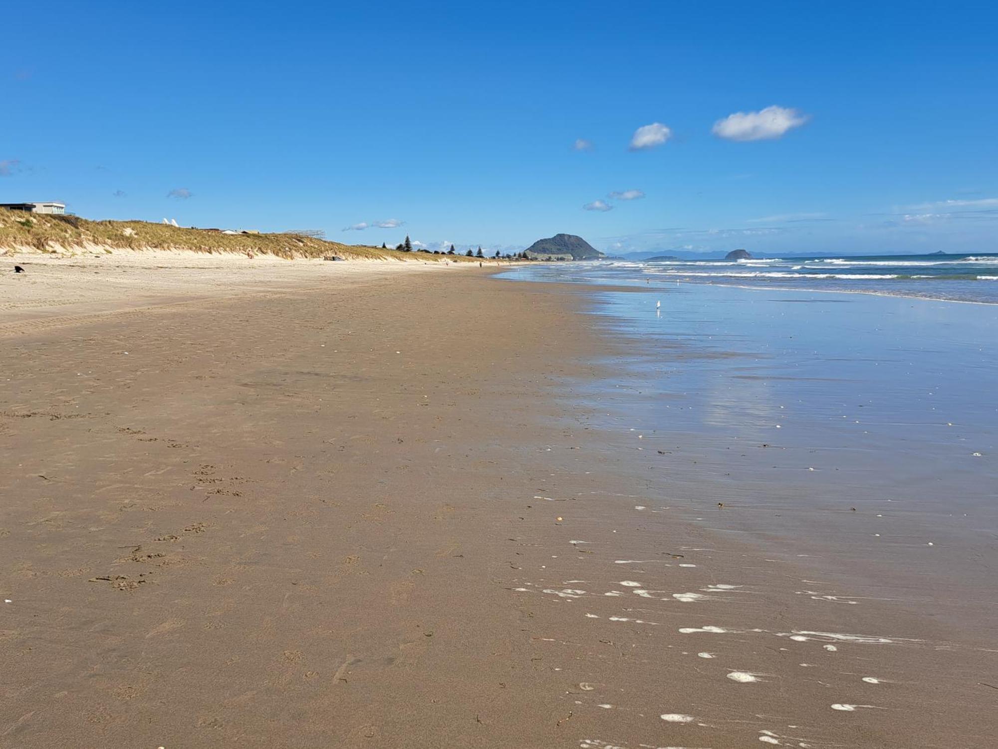 Sunbrae Beach Sanctuary Free High Fibre Wifi Mount Maunganui Bagian luar foto