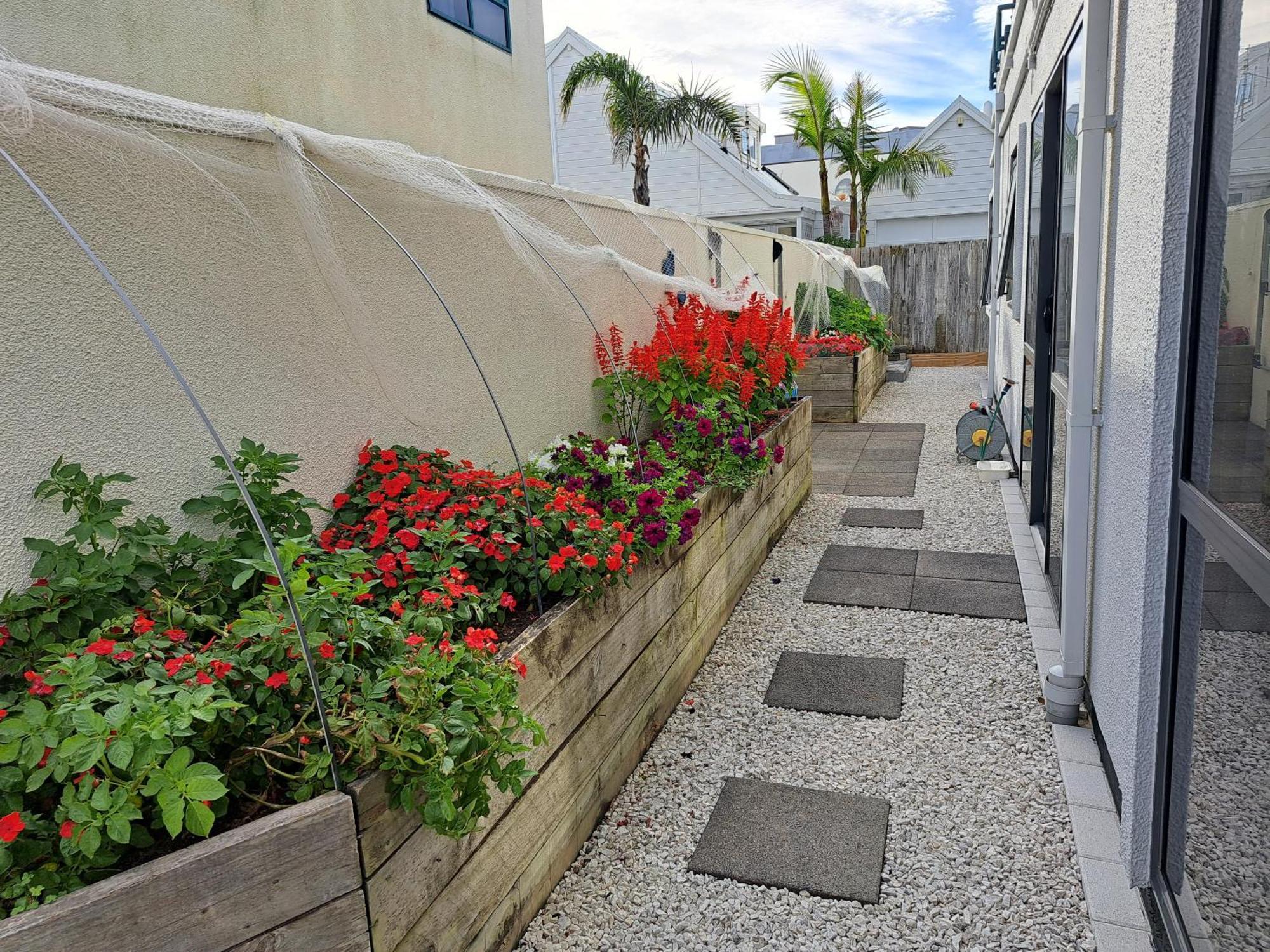 Sunbrae Beach Sanctuary Free High Fibre Wifi Mount Maunganui Bagian luar foto